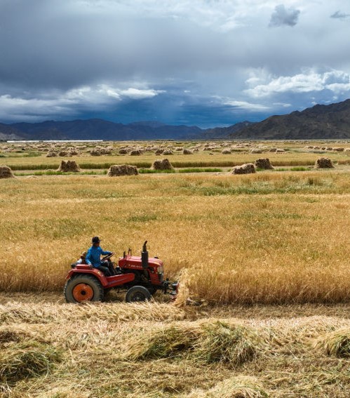 捷賽分享 |農耕文明的啟示：現代農業發展之鑰